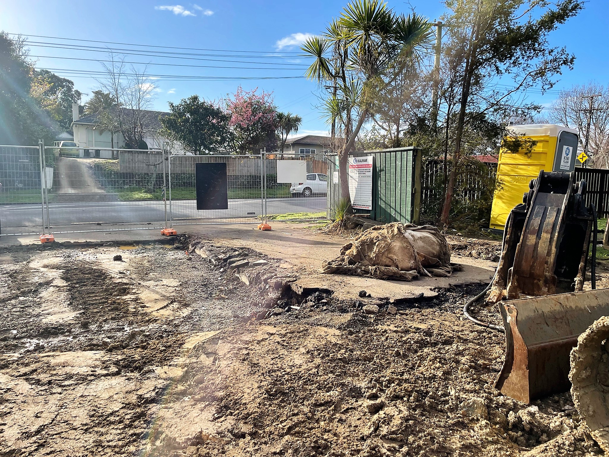 Whakaruruhau demolition